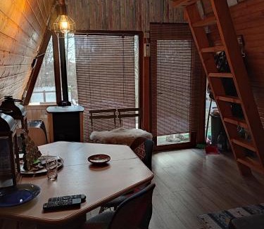 Biltisoara Ski Chalet | CabanuțA Young Valley