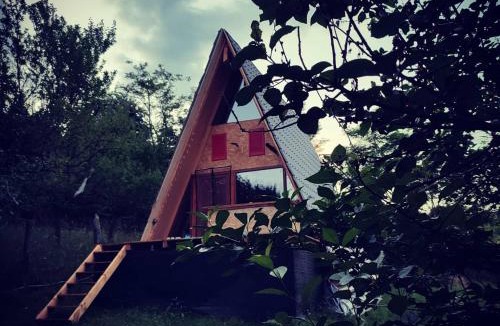 Biltisoara Ski Chalet | CabanuțA Young Valley