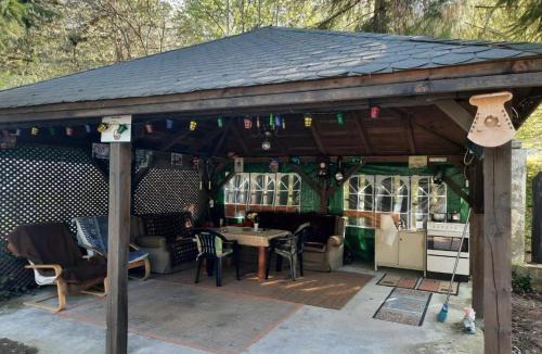 Cartisoara House | Cabanuta Dan & Alex