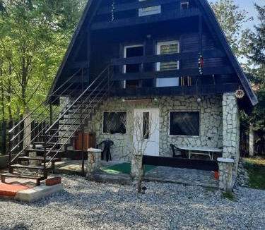 Cartisoara House | Cabanuta Dan & Alex