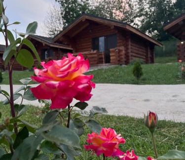 Salatrucel Cabin | Cabanutele M&V INFINIT
