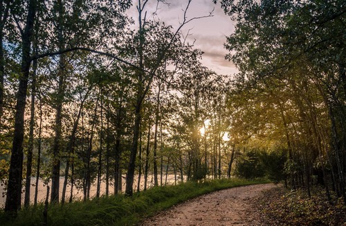 Mountain Home Cabin | Cabin 2-bdrms with Pool and Boat Dock Access on Norfork Lake, Arkansas