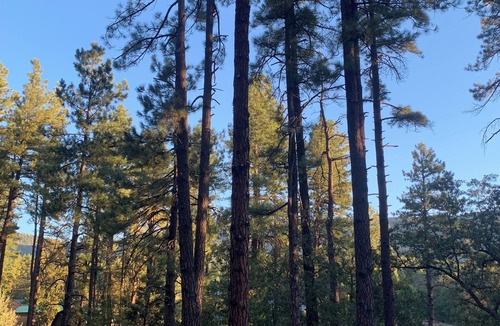 Payson Cabin | Cabin 3 – Eagle's Nest - Queen Bed, Futon, Fireplace, Kitchen, Porch Swing