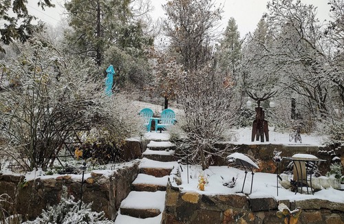Pinehurst House | Cabin 8 miles from Kings Canyon entrance gate.