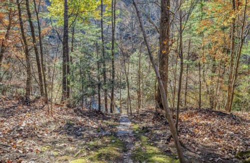 Berkeley Springs Ski Chalet | Cabin at Sleepy Creek - Creek Access, Wifi, Pet Friendly, Fire Pit, Charcoal Grill, Screen Porch, Wood Stove, Deck, Family Friendly