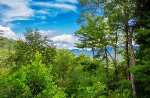 Sevierville House | Cabin Fever