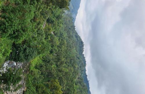 Padang Other | Cabin Glamping