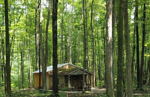 Kinsman Cabin | Cabin in the woods. Minutes to Pymatuning Lake.