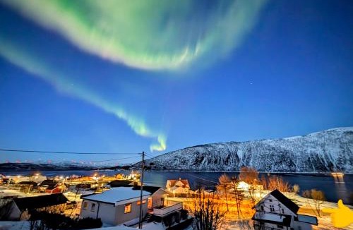 Botnhamn Villa | Cabin Magic Senja 2, Home away from home