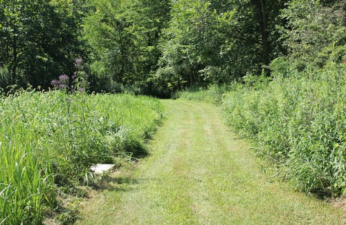 Laketon Cabin | Cabin on 22 Acres near Eel River: Sleeps 4, Trails, Nature, Fishing!