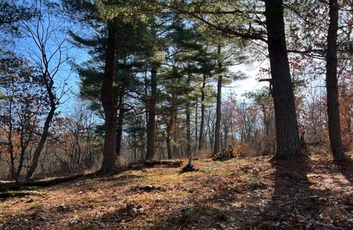 Poughquag Cabin | Cabin on 66 acres of forest
