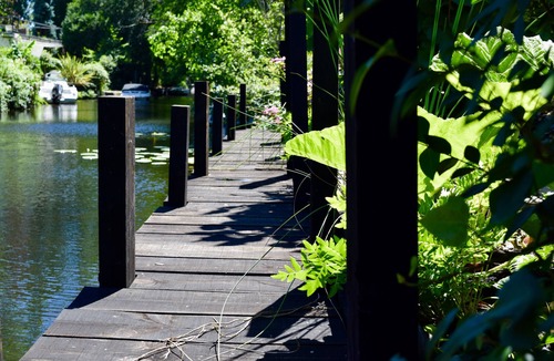 Cazaux House | Cabin-style house on the Cazaux canal (15 min from Arcachon) with private pontoon