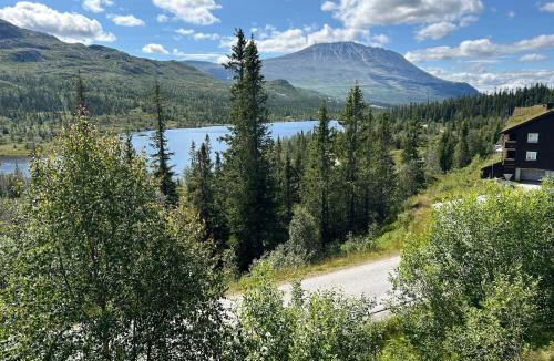 Atra Apartment | Cabin with a great view at Gaustablikk