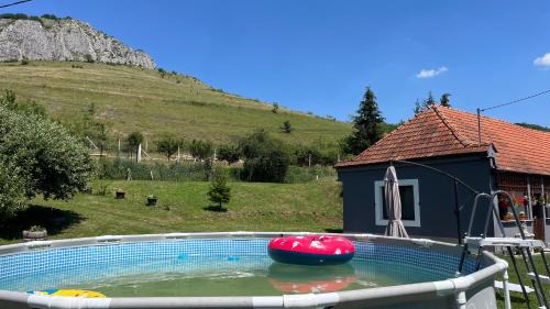 Valisoara House | Cabin with Panoramic View of the Vălișoara Gorge