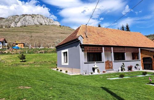 Valisoara House | Cabin with Panoramic View of the Vălișoara Gorge