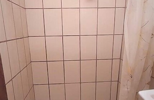 Cahuita Hotel | Cabinas Algebra