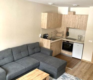 Borovets Apartment | Cactus Apartment