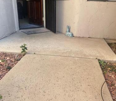 Village Two House | Cactus Flower