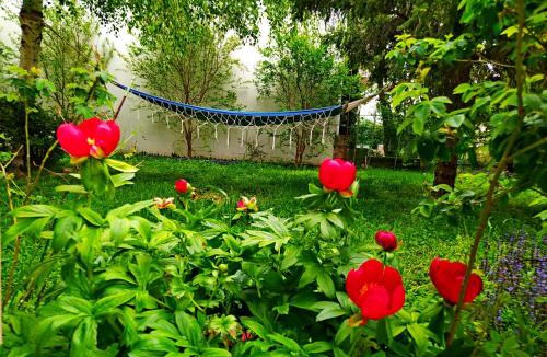 Alexandroupoli Apartment | Cactus Oasis