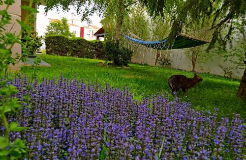 Alexandroupoli Apartment | Cactus Oasis