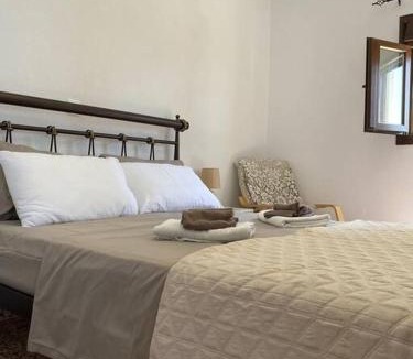Olympos House | Cactus villa