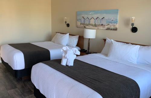 Summerside Hotel | Cairns Motel