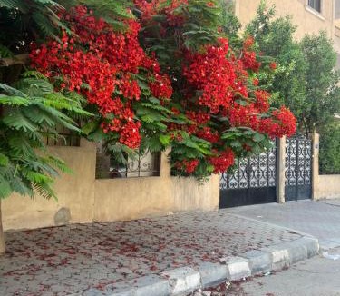 As-Salam Hotel | Cairo