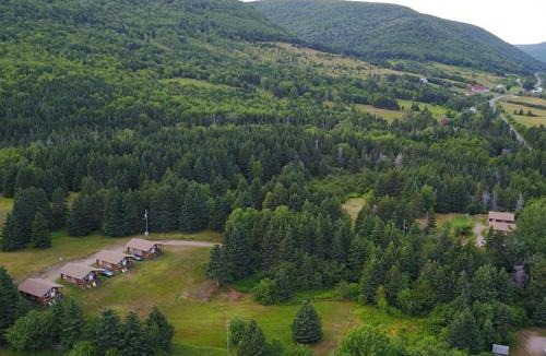 Margaree Forks Resort | Cajun Cedar Log Cottages Ltd