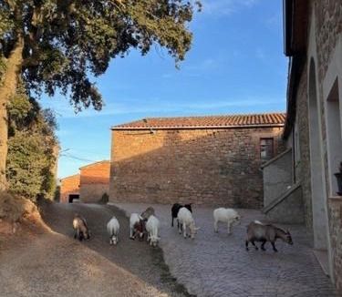 Aguilar de Segarra Apartment | Cal Perico