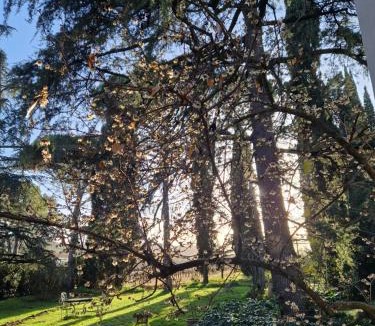 Oriolo dei Fichi Bed & Breakfast | Calicanto - Dimora nel parco