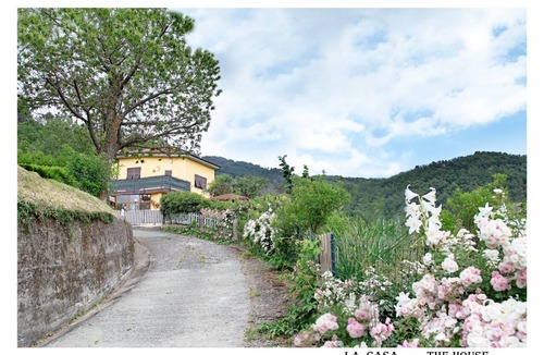 Calice al Cornoviglio Apartment | Calice Al Cornoviglio: Cà de Mino