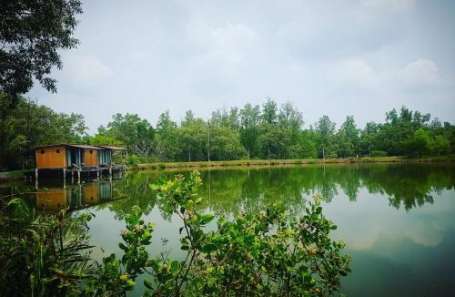 Phangnga Resort | Calm at Bangphat