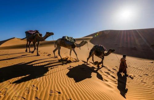 Ait Azzi Apartment | camel riding