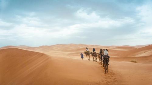 Ait Azzi Apartment | camel riding