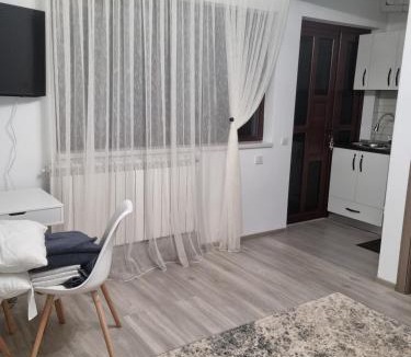 Comanesti Apartment | Camera/garsoniera in regim hotelier