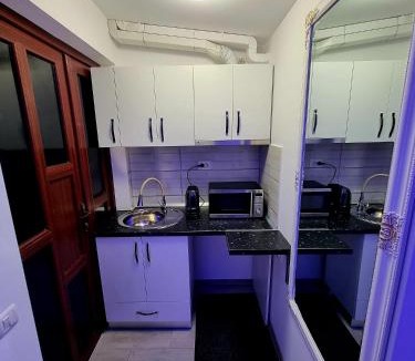 Comanesti Apartment | Camera/garsoniera in regim hotelier