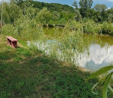Copalnic-Manastur Cabin | Camera Verii