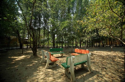 Dabhoi Hotel | Camp Unity