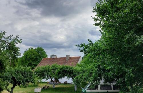 Gledy House | Camp Warmia