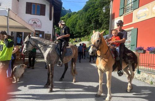 Entracque Other | Campeggio il Bosco