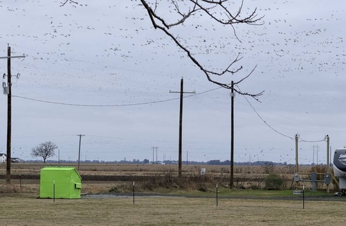 Stuttgart RV Rental | Campground in the duck capital of the world. Right in outskirts of town