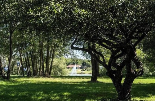 Cormoranche-sur-Saone Cabin | Camping du Lac* - 1 Room 2 Person Perched Tent