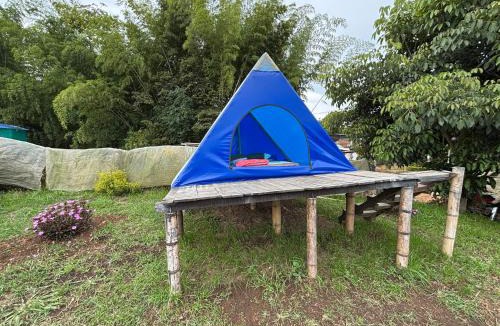 Darien Other | Camping El Paraiso