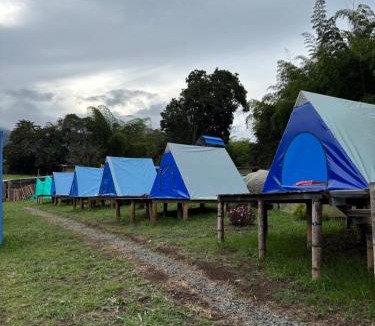 Darien Other | Camping El Paraiso