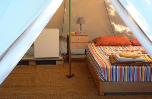Misiria Other | Camping Elizabeth
