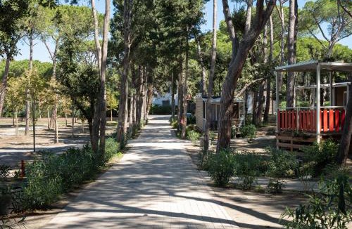 Marina di Bibbona Other | Camping Il Capannino Glamping Village