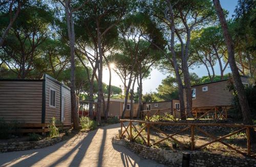 Marina di Bibbona Other | Camping Il Capannino Glamping Village