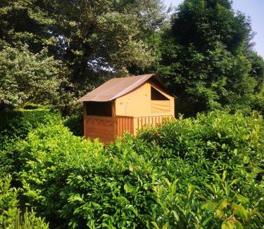Cajarc Other | Camping le Terriol - Onlycamp
