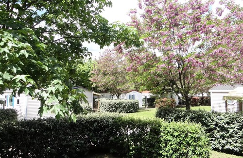 Rosieres House | Camping les Hydrangeas * - Mobile Home 4 Rooms 6 People Air Conditioned