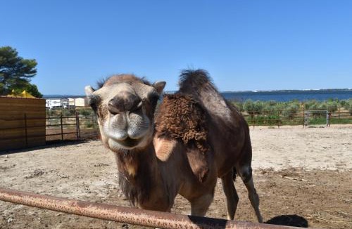 Vitrolles Other | Camping Marina Plage